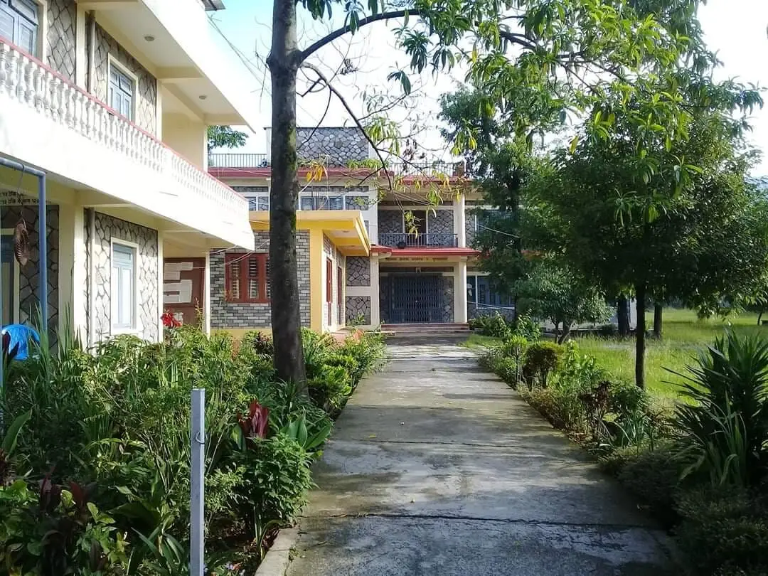 Garden path between buildings
